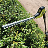 Ryobi 450W Electric 45cm Pole Hedge Trimmer RPT4545M