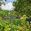 Ryobi ONE+ EZ Reach 3m Telescopic Pole Hedge Trimmer (Tool Only) 18V RY18PHT40A-0