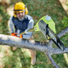 Ryobi ONE+ Pole Saw & Pole Hedge Trimmer Dual Pack (3x 2.0Ah) 18V OPP-OPT-320