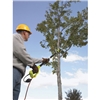 Ryobi 20cm Electric Pole Saw RPP750S 750w