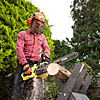 Ryobi 2300W Electric 40cm Chainsaw RCS2340B